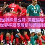 体育彩票世界杯怎么赔-深度揭秘，体育彩票世界杯赔率解析与策略制定