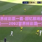 2002世界杯彩票一套-回忆那场盛夏与金钱的交织——2002世界杯彩票一套的往事