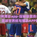 足球世界杯博彩app-探秘绿茵场外的智慧博弈，足球世界杯与博彩APP的交织