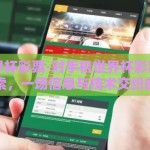 手机世界杯彩票-对手机世界杯彩票现象的深度探索，一场信息与技术交织的娱乐新风尚