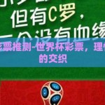 世界杯彩票推测-世界杯彩票，理性与激情的交织