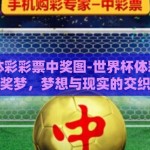 世界杯体彩彩票中奖图-世界杯体彩彩票中奖梦，梦想与现实的交织