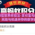 支付宝微信世界杯投注-支付宝与微信世界杯投注，风险与机遇并存的数字娱乐新篇章