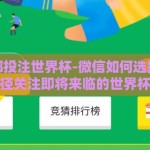 微信在哪投注世界杯-微信如何选择合法途径关注即将来临的世界杯