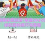 世界杯足球彩票玩法-掌握2022世界杯足球彩票的技巧与策略
