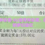 02世界杯彩票-02世界杯彩票，超越胜负的梦幻追忆