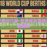世界杯彩票分几种-世界杯彩票种类及其特色解析