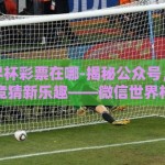 微信世界杯彩票在哪-揭秘公众号，限量版世界杯竞猜新乐趣——微信世界杯彩票的游玩指南