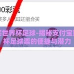 支付宝买世界杯足球-揭秘支付宝购买世界杯足球票的便捷与潜力