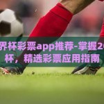 2018世界杯彩票app推荐-掌握2018世界杯，精选彩票应用指南
