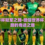 微信世界杯冠军之路-微信世界杯，冠军之路的奇迹之旅