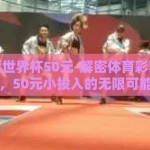 体育彩票世界杯50元-解密体育彩票世界杯，50元小投入的无限可能