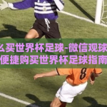 微信怎么买世界杯足球-微信观球新姿势，便捷购买世界杯足球指南