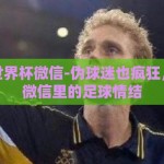 伪球迷世界杯微信-伪球迷也疯狂，世界杯微信里的足球情结