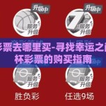 世界杯彩票去哪里买-寻找幸运之门，世界杯彩票的购买指南