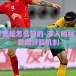 世界杯彩票是怎么算的-深入揭秘，世界杯彩票计算机制