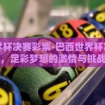 巴西世界杯决赛彩票-巴西世界杯决赛彩票，足彩梦想的激情与挑战