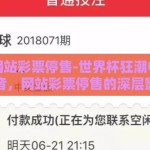世界杯网站彩票停售-世界杯狂潮中的冷静之音，网站彩票停售的深层影响