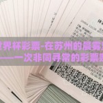 苏州买世界杯彩票-在苏州的晨雾里，寻梦世界杯——一次非同寻常的彩票购物之旅