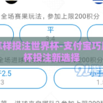 支付宝怎样投注世界杯-支付宝巧用，世界杯投注新选择