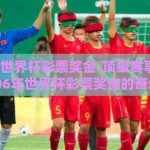 2006年世界杯彩票奖金-顶级赛事的狂欢，2006年世界杯彩票奖金的奇幻旅程