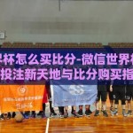 微信世界杯怎么买比分-微信世界杯，球迷的投注新天地与比分购买指南