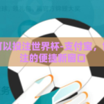 支付宝可以投注世界杯-支付宝，世界杯投注的便捷新窗口