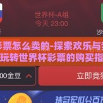 世界杯彩票怎么卖的-探索欢乐与梦想，一起玩转世界杯彩票的购买指南