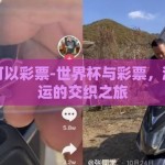 世界杯可以彩票-世界杯与彩票，激情与幸运的交织之旅