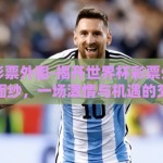 世界杯彩票外围-揭开世界杯彩票外围的神秘面纱，一场激情与机遇的交织
