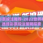 世界杯彩票投注推荐-2022世界杯，理性选择彩票投注策略探索