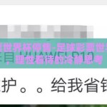 足球彩票世界杯停售-足球彩票世界杯停售，理性看待的冷静思考