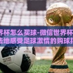 微信世界杯怎么买球-微信世界杯，安全、合法地感受足球激情的购球指南