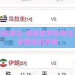 微信世界杯押注-微信世界杯押注，理性与非理性的界限