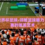 怎么赌世界杯足球-领略足球魅力，理性观赛的唯美艺术