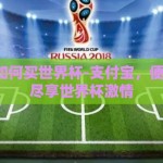 支付宝如何买世界杯-支付宝，便捷之道，尽享世界杯激情