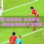 足球世界杯 滚球视频-足球激情，滚球视频，透视赛场瞬息万变的魅力