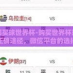 微信在哪买球世界杯-购买世界杯球赛观看服务的正确途径，微信平台的选择与注意事项