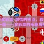看世界杯买彩票-激情的焦点，看世界杯的另一面——买彩票的乐趣与挑战