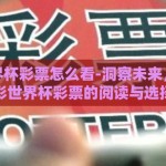 体彩世界杯彩票怎么看-洞察未来，解密体彩世界杯彩票的阅读与选择