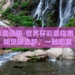 世界杯彩票说明-世界杯彩票指南，你的斑斓足球之梦，一触即发