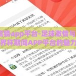 世界杯·竞猜app平台-足球激情与智能竞猜，世界杯期间APP平台的魅力展现