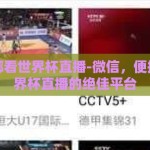微信在哪看世界杯直播-微信，便捷观看世界杯直播的绝佳平台