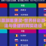 世界杯彩票跟哪里买-世界杯彩票，探寻合法与便捷的购买途径