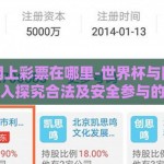 世界杯网上彩票在哪里-世界杯与网上彩票，深入探究合法及安全参与的渠道