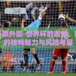 世界杯彩票外围-世界杯的邂逅，彩票外围的独特魅力与风险考量