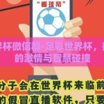 足彩世界杯微信群-足彩世界杯，微信群里的激情与智慧碰撞