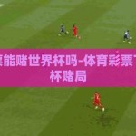 体育彩票能赌世界杯吗-体育彩票下的世界杯赌局