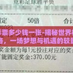 世界杯彩票多少钱一张-揭秘世界杯彩票价格，一场梦想与机遇的较量