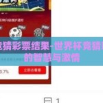 世界杯竞猜彩票结果-世界杯竞猜彩票背后的智慧与激情